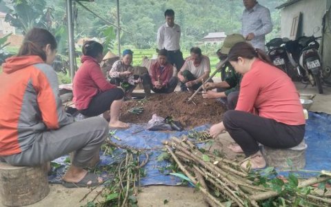 Hội  phụ  nữ  Lâm  Phú  tích cực  góp  phần chung tay vào  xây  dựng  nông  thôn  mới  trồng  hoa  dâm  bụt  làm  hàng  rào  xanh.