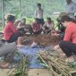 Hội  phụ  nữ  Lâm  Phú  tích cực  góp  phần chung tay vào  xây  dựng  nông  thôn  mới  trồng  hoa  dâm  bụt  làm  hàng  rào  xanh.